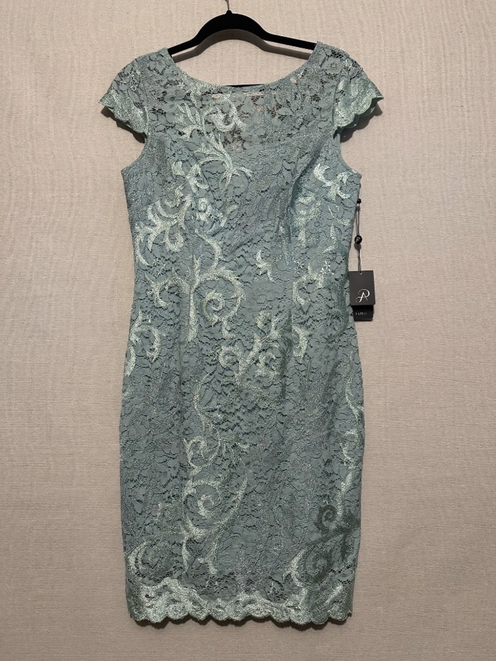 NWT Adrianna Papell Embroidered Lace Sheath - size 10 - Picture 3 of 6